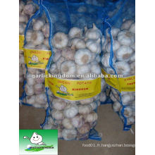 Ail blanc frais / 10 kg d&#39;ail en vrac / Ail en Chine